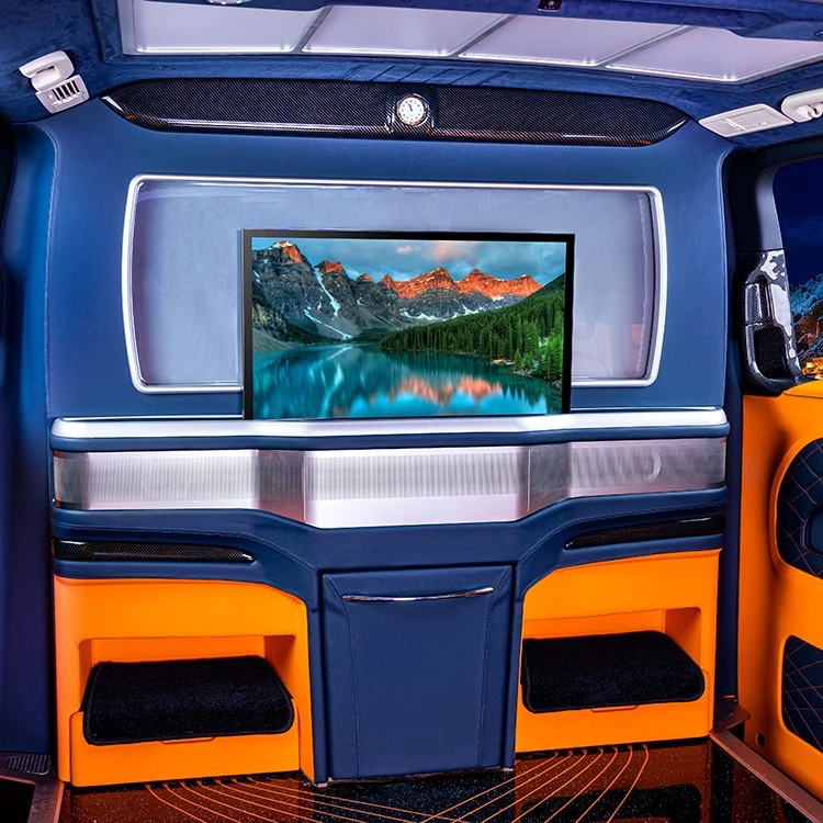 Benz Erffa partition with TV