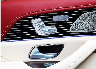 Rear door ambient light