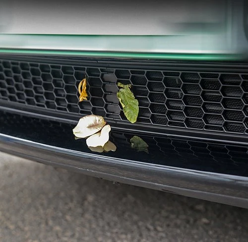 Protective mesh grille effectively blocks mosquitoes and leaves